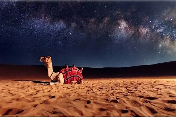 فیلم | هجرت پیامبر(ص) واقعه‌ای هویت‌ساز است