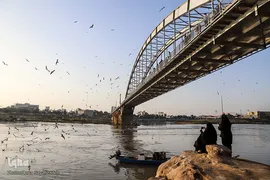 پرندگان مهاجر کارون