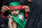 حسینیه ایران؛ سوگواره شیرخوارگان حسینی در چهارباغ عباسی اصفهان