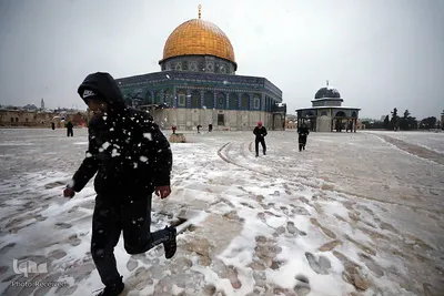 بارش کم سابقه برف در بیت المقدس