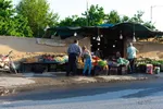 نبض زندگی در دل ناژوان