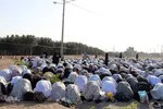 نماز عید سعید فطر در مصلی المهدی بیرجند