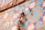 حال ناخوش بقعه سیدشمس‌الدین چهار منار یزد‎
