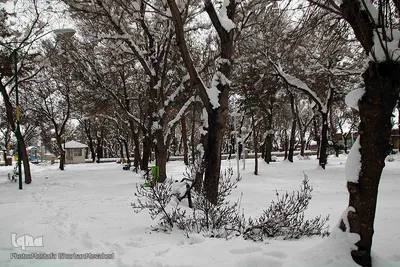 بهار 1401 با طعم برف و سرما در اهر