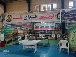 برپایی نمایشگاه ایران قوی در ملایر