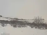 طبیعت برفی مناطق شهری و روستایی اهر