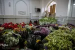 گلسرای رضوی
