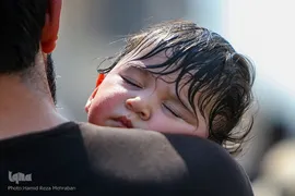 نجف اشرف در آستانه اربعین حسینی(۲)