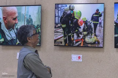آیین گشایش نمایشگاه گروهی عکس «جلوه های نجات و حیات» در شیراز