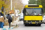 آخرین روز‌های پاییز در دانشگاه اصفهان