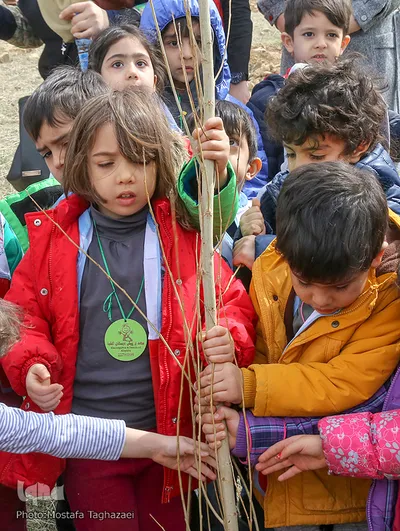 کاشت نهال صلح در بوستان پردیسان