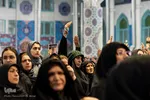 همایش شیرحوارگان در کرج