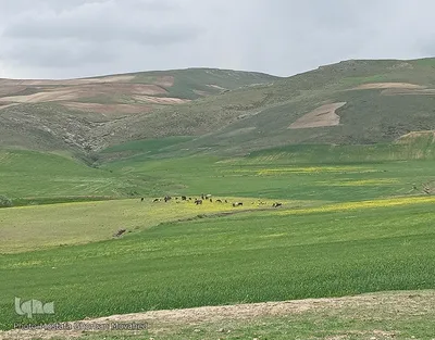 طبیعت زیبا و سحرانگیز مناطق گردشگری و روستایی اهر