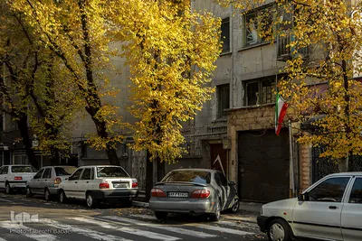 پاییز۹۹-تهران - خیابان ایتالیا