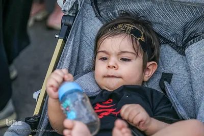 پیاده‌روی «مثل اربعین» در دانشگاه صنعتی شیراز