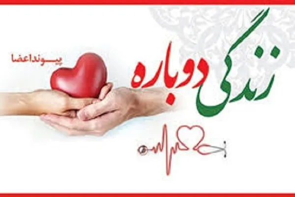 23 مورد اهدای عضو بیماران مرگ مغزی در ملایر