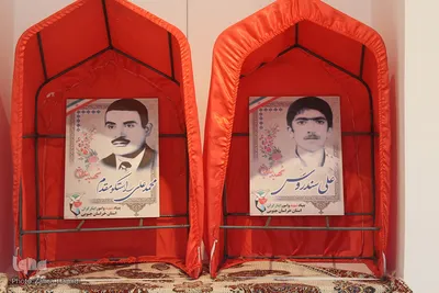 بیرجند در قاب انقلاب