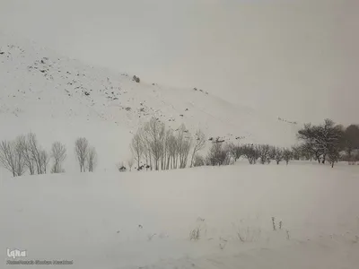 طبیعت برفی مناطق شهری و روستایی اهر