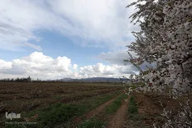 طبیعت بهاری صایین قلعه و داسداران