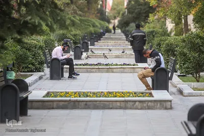 تنهاییِ همراهی