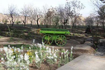 شکوه یک باغ ایرانی