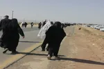 پیاده‌روی اربعین؛ مدرسه بزرگ تربیت انسانی