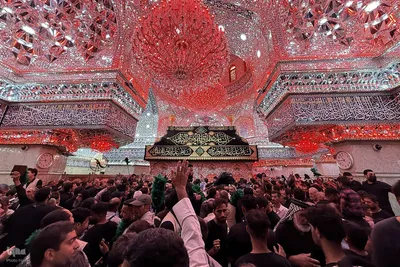 بازدید مسئولان حج و زیارت از خدمات به زائران در مسیر مشایه و کربلای معلی