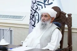 Muslim Countries Urged to Recognize Taliban Government