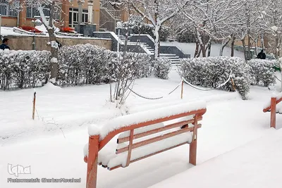 بارش برف در شهرستان اهر
