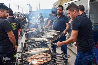 ارادتی که پیر و جوان نمی شناسد