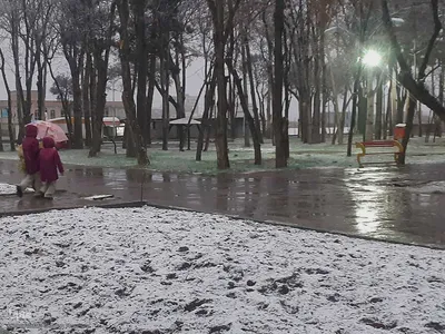 بارش برف زمستانی در اهر