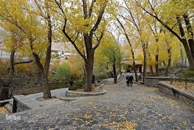 برگریزان پاییزی در همدان