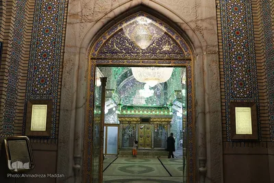 جشن میلاد امام رضا(ع) در سید علاءالدین حسین(ع) شیراز