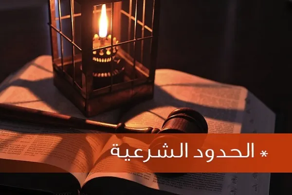 تطبيق الحدود الشرعية من منظور الامام علي(ع)