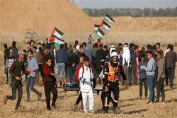 WHO Urges Protection of Health Workers, Facilities in Gaza