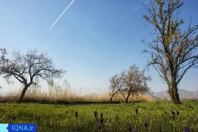 خودنمایی بهار در ارومیه