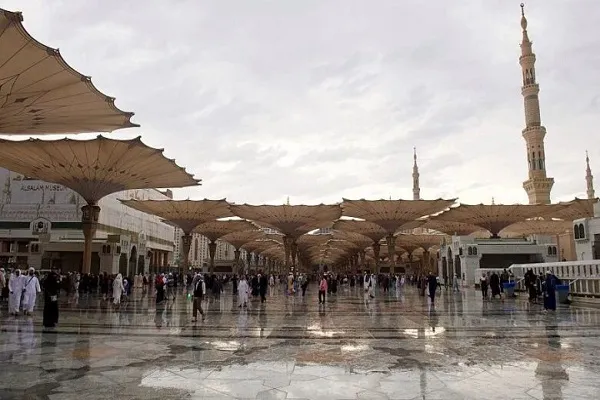 مسجدالنبی(ص) زیر باران سحرگاه + فیلم