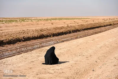 اردوی جهاد تبیین سازمان محیط زیست استان البرز‎