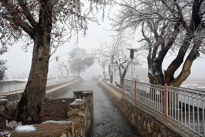 برف، رحمت الهی در سمنان