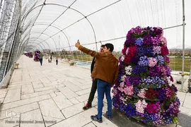 حال و هوای بهاری در شهر تهران