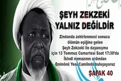 Türkiyədə Şeyx Zəkzakiya dəstək aksiyası keçiriləcək