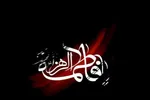 حضرت زهرا(س) مبانی فکری سقیفه را برای همیشه تاریخ رسوا کرد