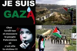 Des groupes de défense des droits de l'homme ont condamné les crimes de guerre israéliens