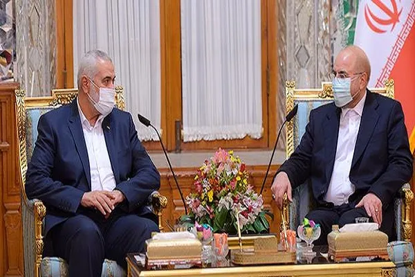 مقاومت مردم فلسطین در جنگ ۱۲ روزه باعث عزت مسلمین شد