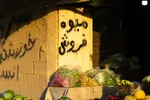 نبض زندگی در دل ناژوان