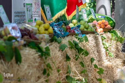 جشن شکرانه برداشت میوه البرز