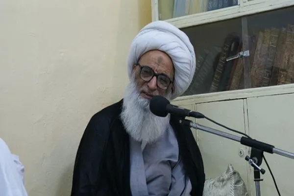 آیت‌الله شیخ بشیر نجفی شهادت سید مقاومت را تسلیت گفت