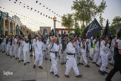 تشرف کاروان پیاده زیارتی حضرت شاهچراغ(ع) شهرستان فیروزآباد به حرم مطهر