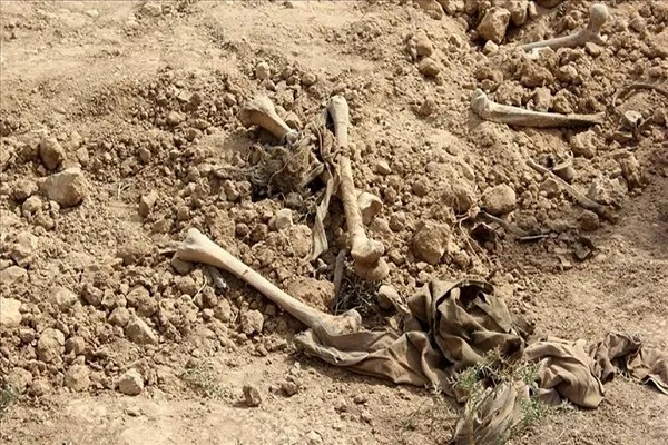کشف گور دسته‌جمعی جدید در نجف