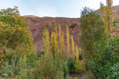 پاییز زیبای طالقان